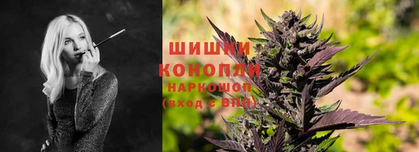 дживик Козловка