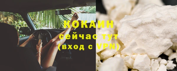 дживик Козловка