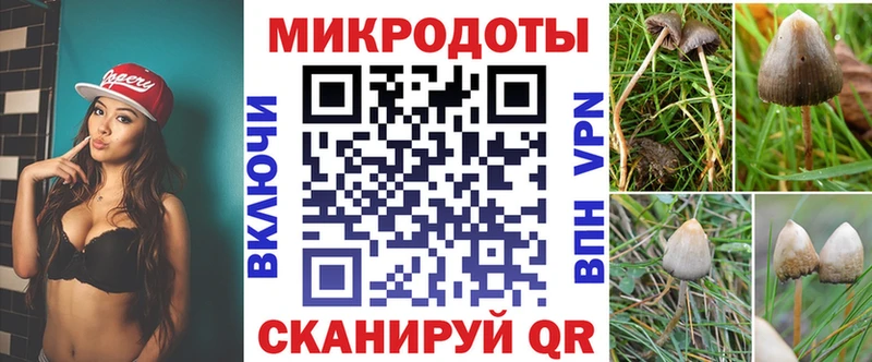 Галлюциногенные грибы мухоморы  где можно купить наркотик  Мглин 